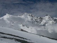 CH, Wallis, Saas Fee, Egginerjoch 13, Saxifraga-Willem van Kruijsbergen